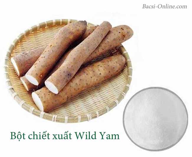 Bột chiết xuất Wild Yam giàu chất xơ và dinh dưỡng