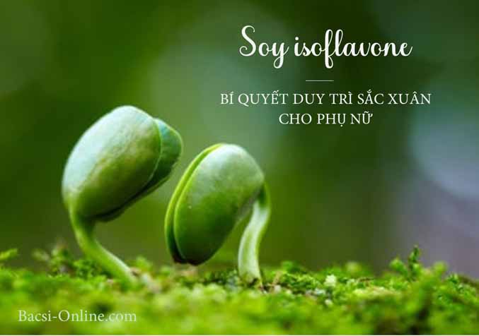 Soy Isoflavone bí quyết duy trì tuổi xuân của phụ nữ