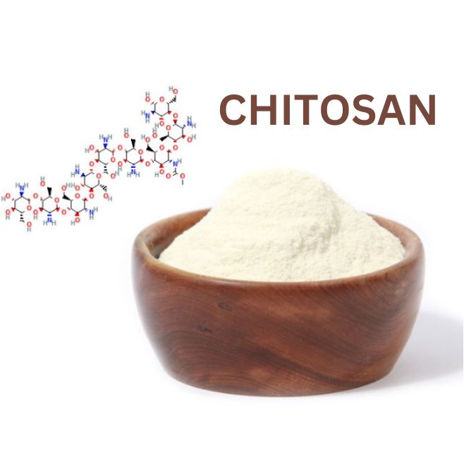 CHITOSAN