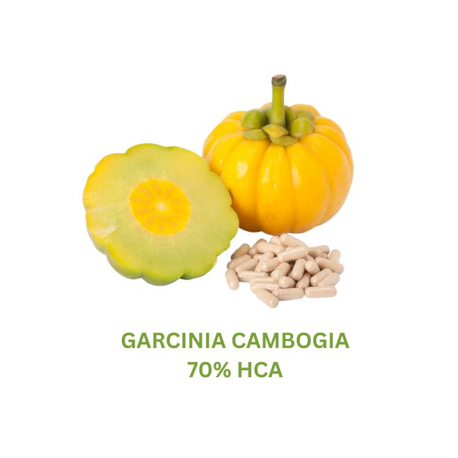 GARCINIA CAMBOGIA 70% HCA