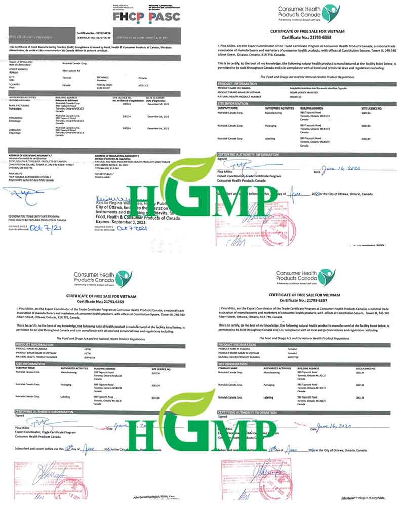 HealthGMP-Certificate