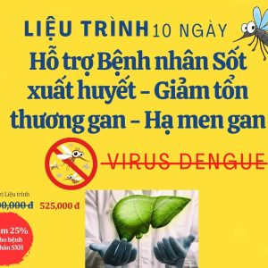 Liệu trình 10 ngày cho bệnh nhân Sốt xuất huyết