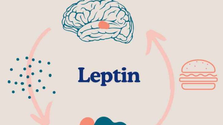 Leptin