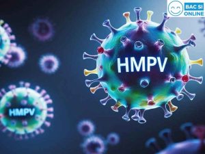 HMPV virus